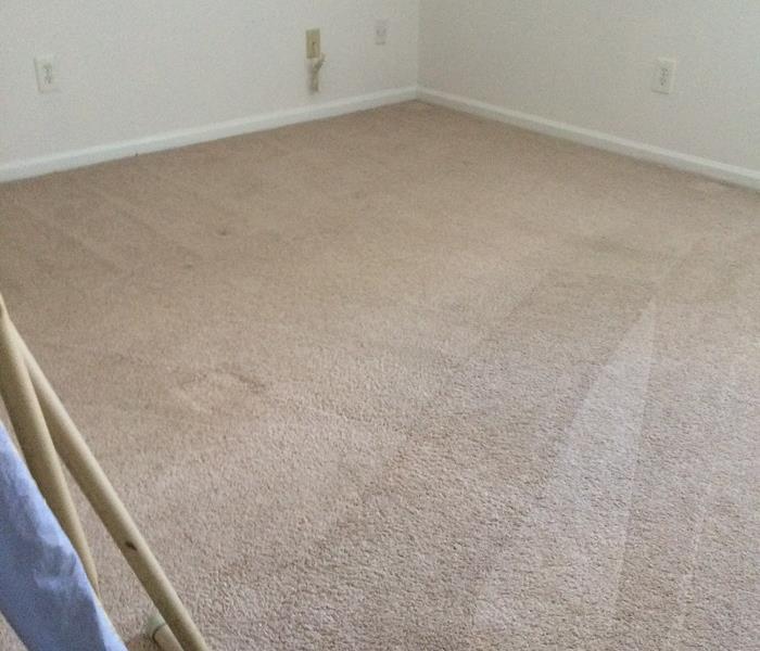 After SERVPRO carpet cleaning photo