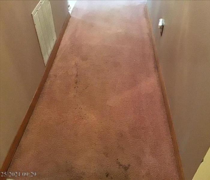 Dirty carpet prior to SERVPRO Carpet Cleaning Services