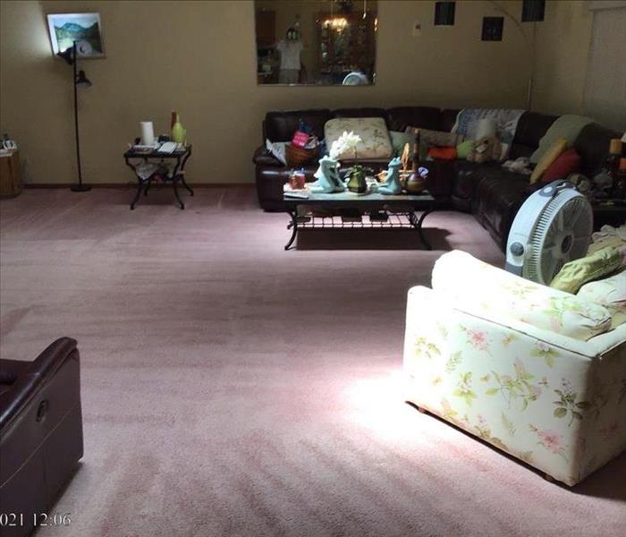 Cleaned carpet post SERVPRO carpet cleaning services