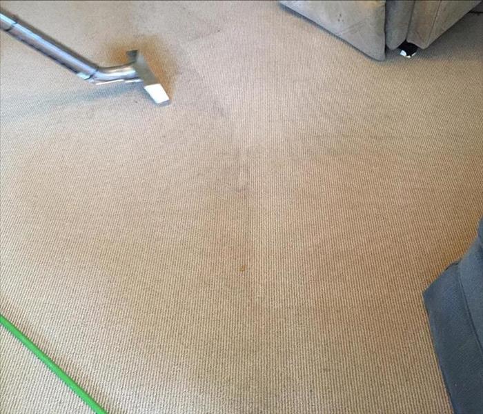 Before SERVPRO carpet cleaning photo