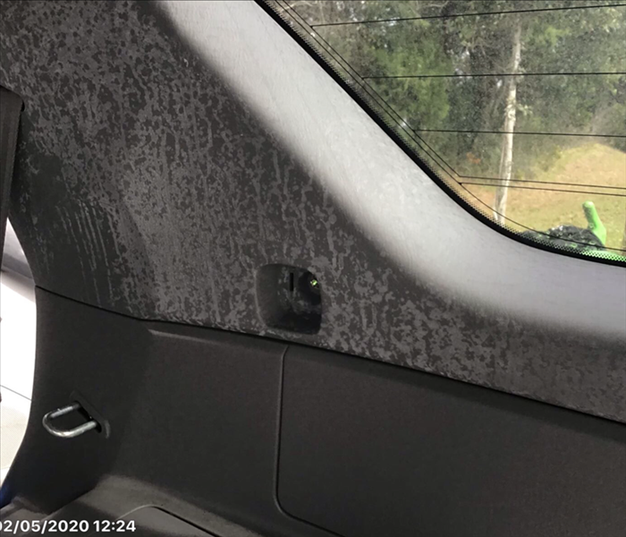 Visible mold in an automobile