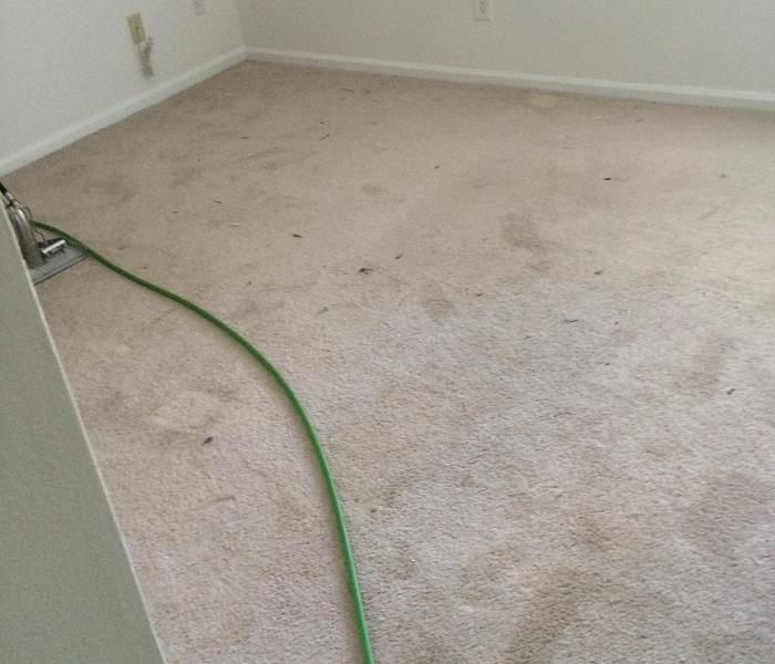 Before SERVPRO carpet cleaning photo