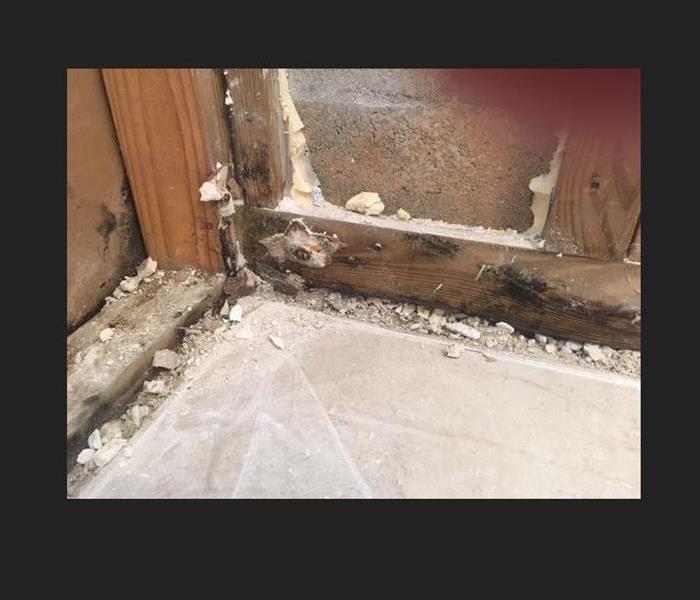 Mold inside of a bathroom